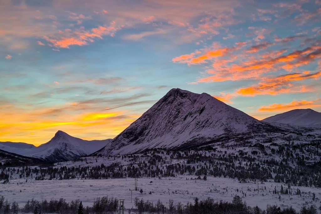 Holiday Home Among The Pearls Of Norway Stranda  Ngoại thất bức ảnh