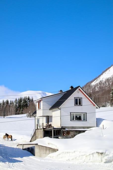 Holiday Home Among The Pearls Of Norway Stranda  Ngoại thất bức ảnh