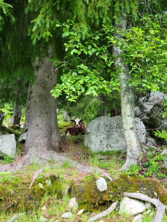 Holiday Home Among The Pearls Of Norway Stranda  Ngoại thất bức ảnh