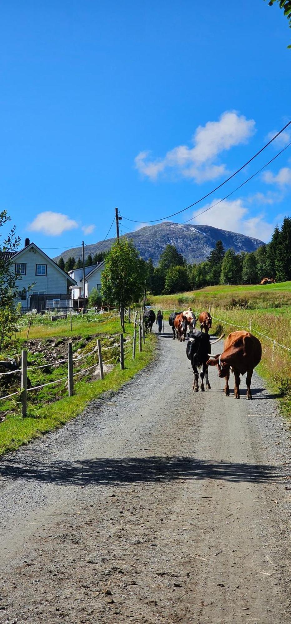 Holiday Home Among The Pearls Of Norway Stranda  Ngoại thất bức ảnh